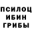 Псилоцибиновые грибы Psilocybe us Ak47