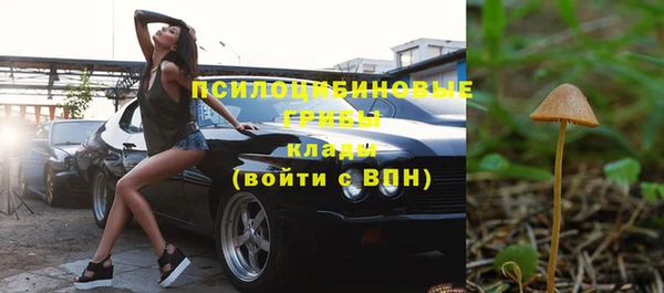 альфа пвп Белокуриха