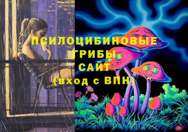 крисы Беломорск