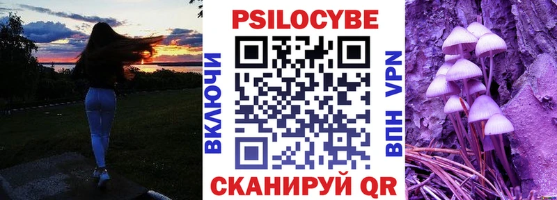 Галлюциногенные грибы Psilocybine cubensis  цены наркотик  Троицк 