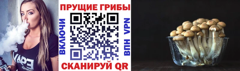 Псилоцибиновые грибы MAGIC MUSHROOMS Троицк