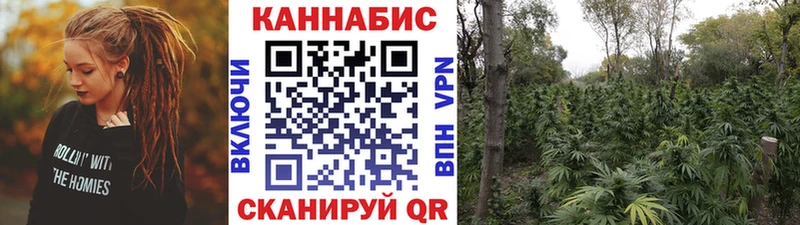 купить  сайты  Троицк  Шишки марихуана MAZAR 